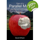 Diary of a Parallel Man by David Elham